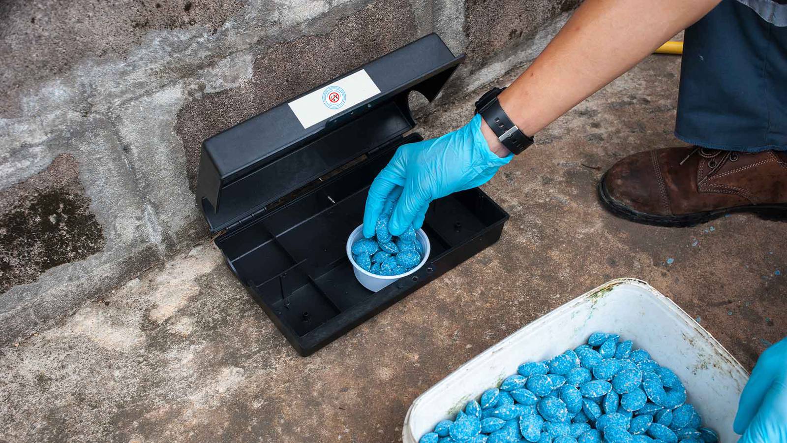 Cosmosolgroup sistemska deratizacija