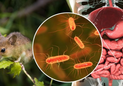 LEPTOSPIROZA – OPASNA ZOONOZA KOJU MOŽEMO SPRIJEČITI ZAJEDNO