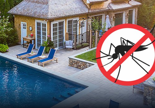 Zašto su komarci posebno naporni oko bazena?