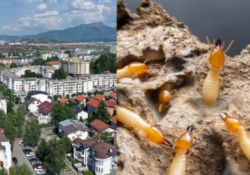 Zemlja ispod poda – Nevidljiva prijetnja u naselju Azići